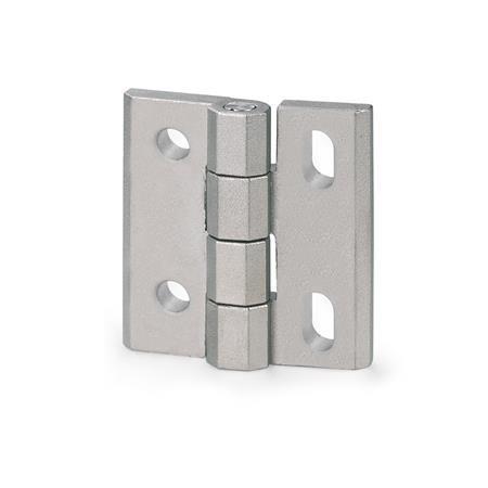 Otto Ganter Stainless Steel Hinge Adjustable, GN 235